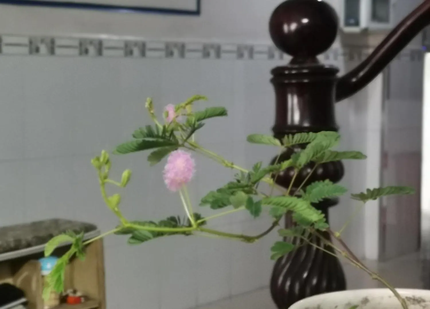 Khach San Nhu Y Hotel Ho Chi Minh City